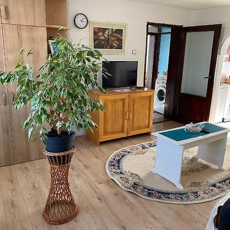 Appartement Micin Dom à Pirot Extérieur photo