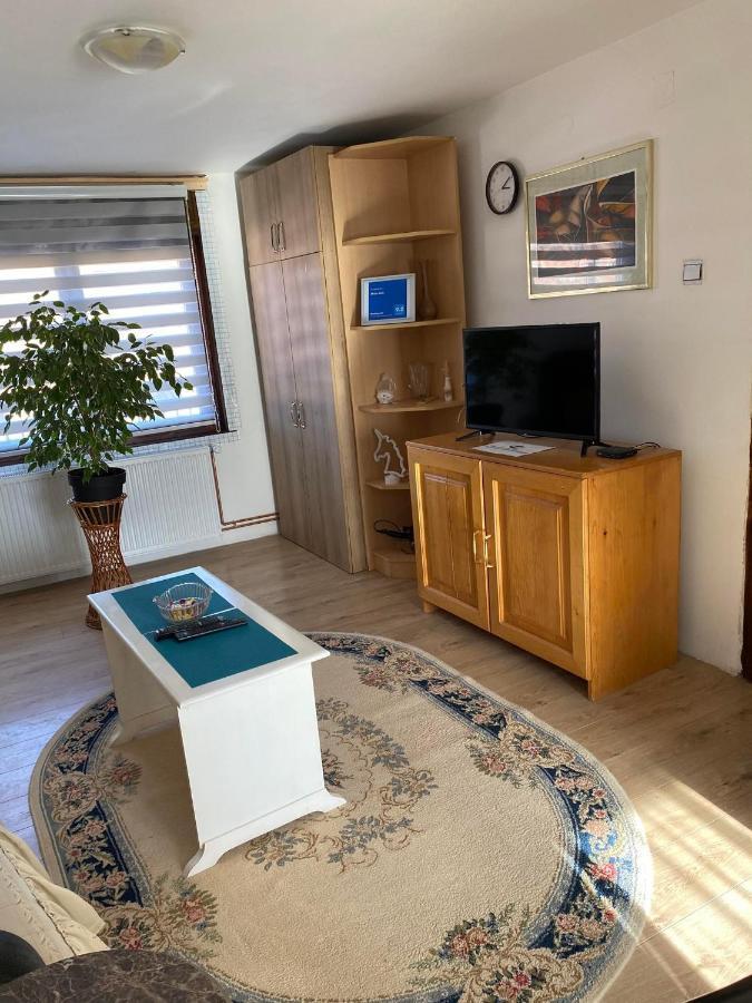 Appartement Micin Dom à Pirot Extérieur photo