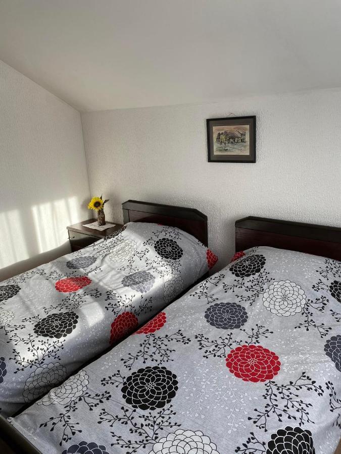 Appartement Micin Dom à Pirot Extérieur photo